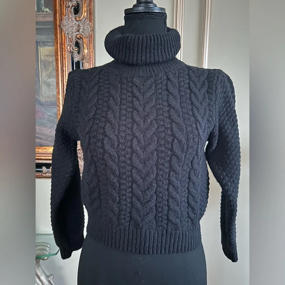 New Capitol Knit Cropped Turtleneck Sweater Chunky Fisherman Dark Academia XS S - Picture 2 of 5